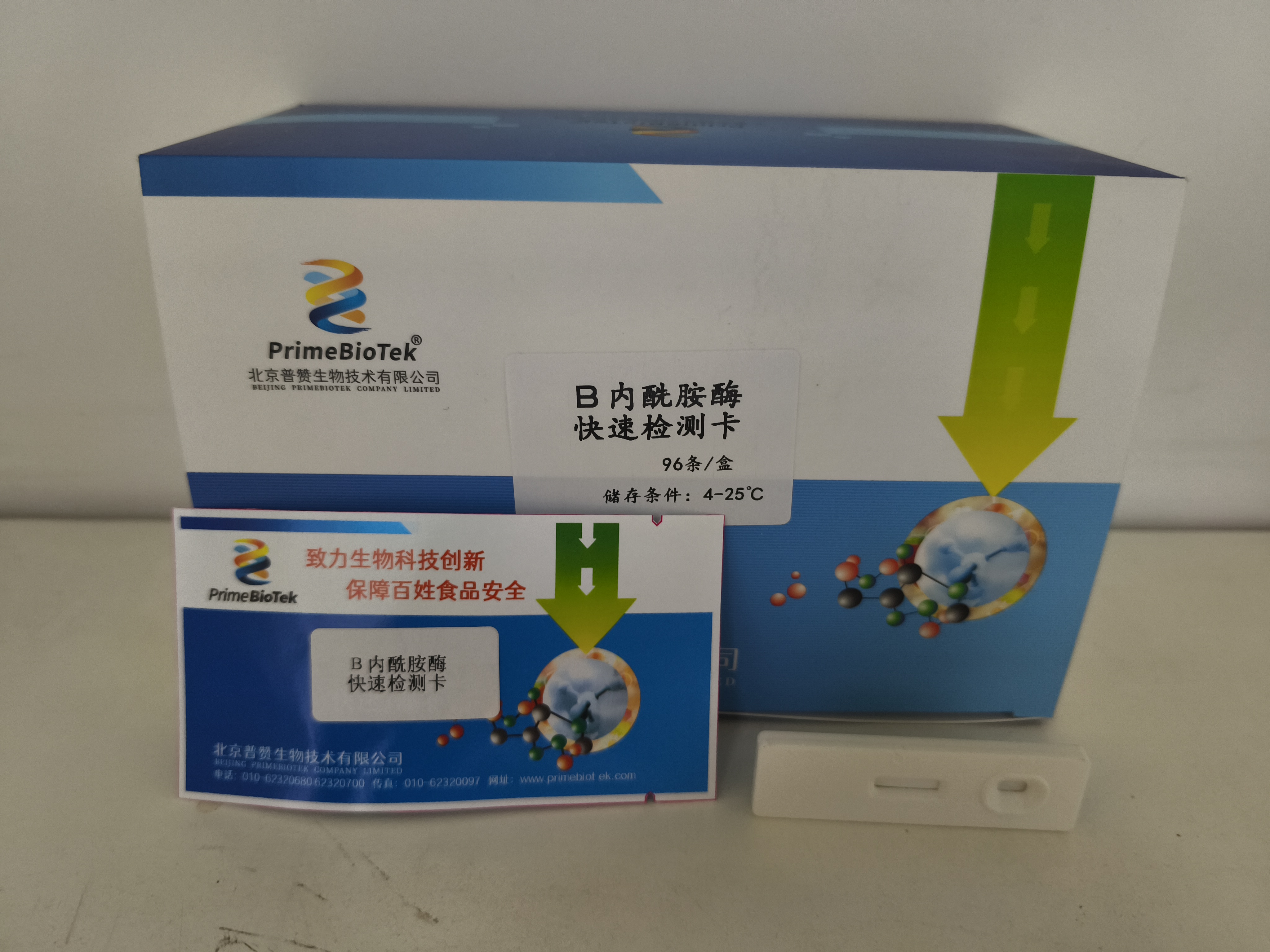 β-内酰胺酶检测试纸卡